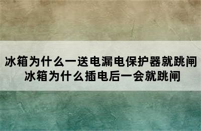 冰箱为什么一送电漏电保护器就跳闸 冰箱为什么插电后一会就跳闸